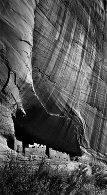 Ansel Adams Photographer